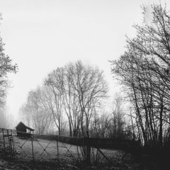 (n)everlasting silence