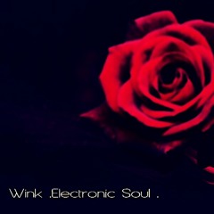 Electronic Soul .