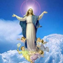 Oh Maria, Madre Mia - norma garcia