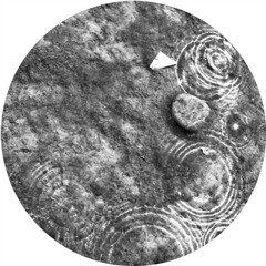 Recondite - Caldera(Original Mix)-Snippet