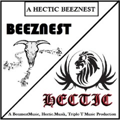 Unseen (Hectic, Beeznest, Triple-T)