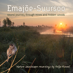 Sound Journey to Emajoe-Suursoo - Album Sample