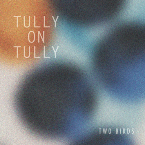 Two Birds