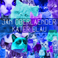 Jan Oberlaender | Kater Blau