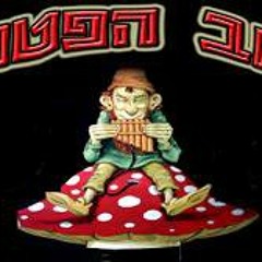 פאב הפטריה 28.8.14681