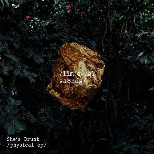 She's Drunk 'Talk To Them' - Boiler Room Debuts
