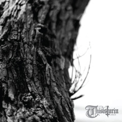 This is Turin - Consume Repeat