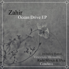 Zahir  - Sorbonne Moi (Radu Mirica & iPca Remix)
