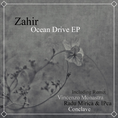 Zahir  - Sorbonne Moi (Radu Mirica & iPca Remix)