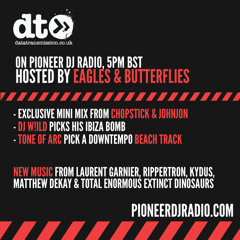 Data Transmission Radio Show 026 - Pioneer Radio - Hosted By Eagles & Butterflies
