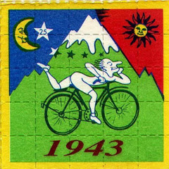 Miško gėrybės