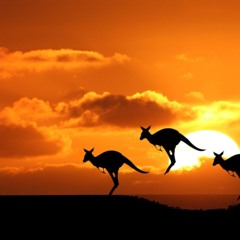 Foreground Set - Kangaroo