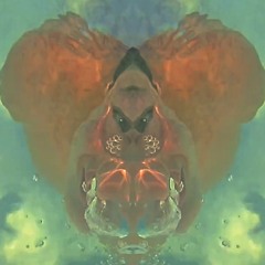 La Triptronic
