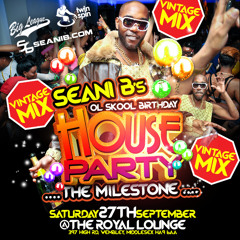 Seani B Birthday House Party THE VINTAGE MIX