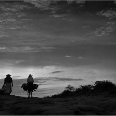 Sabes A Polvo (Comala)