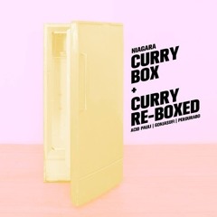 Niagara - Curry Box (Acid Pauli remix)