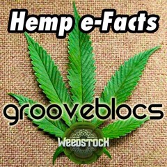 Groove∞Blocs - Hemp e-Facts