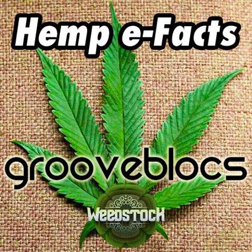 Groove∞Blocs - Hemp e-Facts