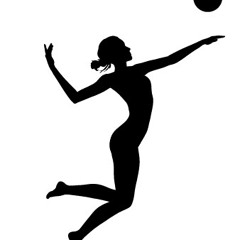 Богдан Титомир & I.D.Project Волейболистки