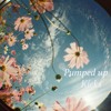 Pumped Up Kicks Foster The Poeple Cover Mp3