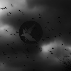 Dark Beauties