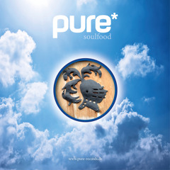 RICO PUESTEL - KNGHTS // pure* records FREE DOWNLOAD