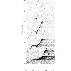 Humpback Whale Non-Song Vocalization: Ascending Shriek