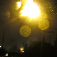 Indie rokkers ::: MGMT