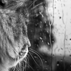 Thoughts From The S.o.u.l.