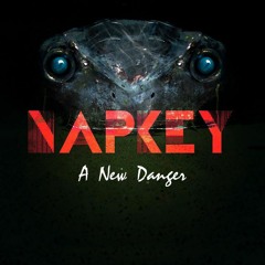 Napkey - A New Danger (feat. G - Roll)