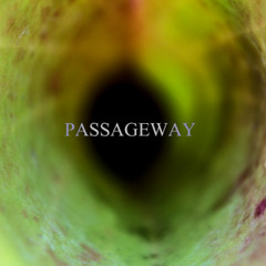 Passageway