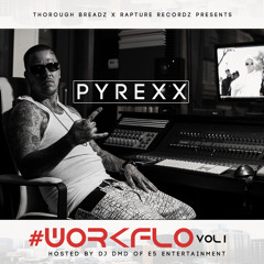 PyRexx - Dollar Bill