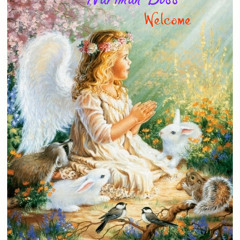 Welcome_-_ Nariman Boss