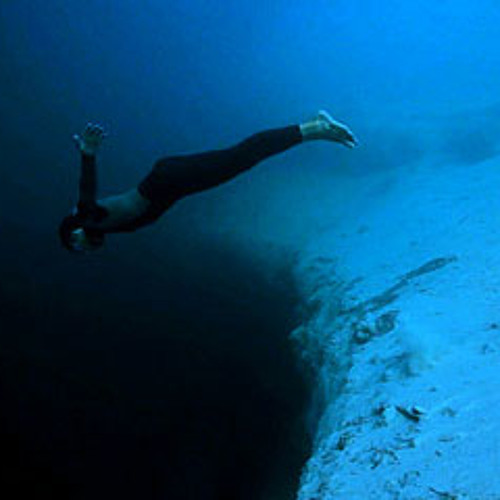 Etoile De Mer