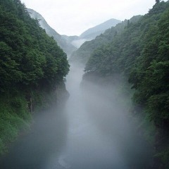 Vyu X Dizzy Plant – Move Back (Original Mix)