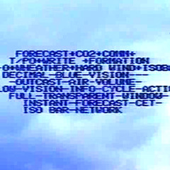 BLUECLOUD 1991 - PANEL DISCUSSION  net.art then & now