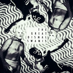 GREAT DISMAL SWAMIS - PHANTOM TOLLBOOTH-- WINDIAN RECORDS SPECIAL EDITION VINYL