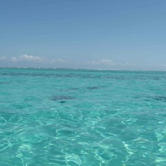 LRok - Meine Stiele 2014