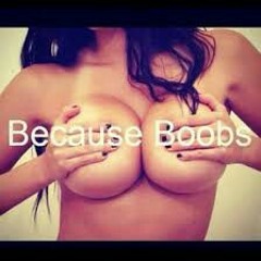 Chase the Cat (summertime)