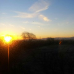 Sad Happy (Pharrell Williams cover)