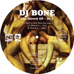 DJ Bone - Detroit Is ... Soul