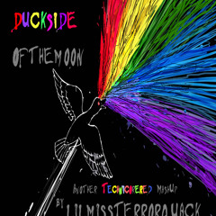 Teh DuckSide Of Teh moon