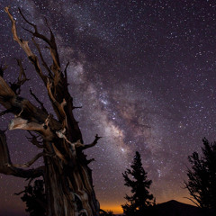 Janet Devlin -Nothing Lost Something Found