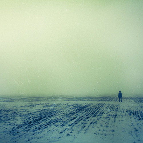A home at the end of the world streaming sale