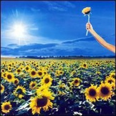 Stone Temple Pilots - Plush
