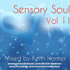 Sensory Soul Vol 11 - Keith Harmer