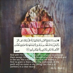 "وَعِنْدَهُ مَفَاتِحُ الْغَيْبِ لَا يَعْلَمُهَا إِلَّا هُوَ"