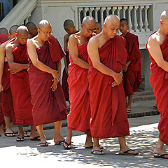 Chinese Buddhist Monk Trap