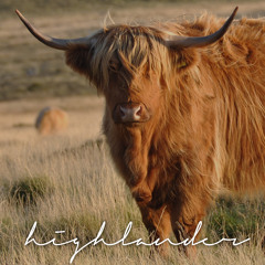 song1 - Highlander