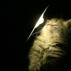 WTF AM I CAPABLE OF / OHA AMK.